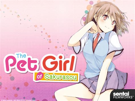 the pet girl of sakurasou where to watch.